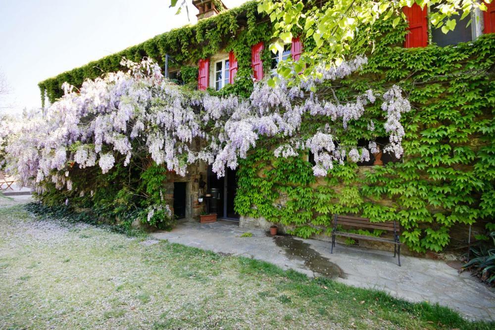 Fattoria Montalbano Farm stay Reggello