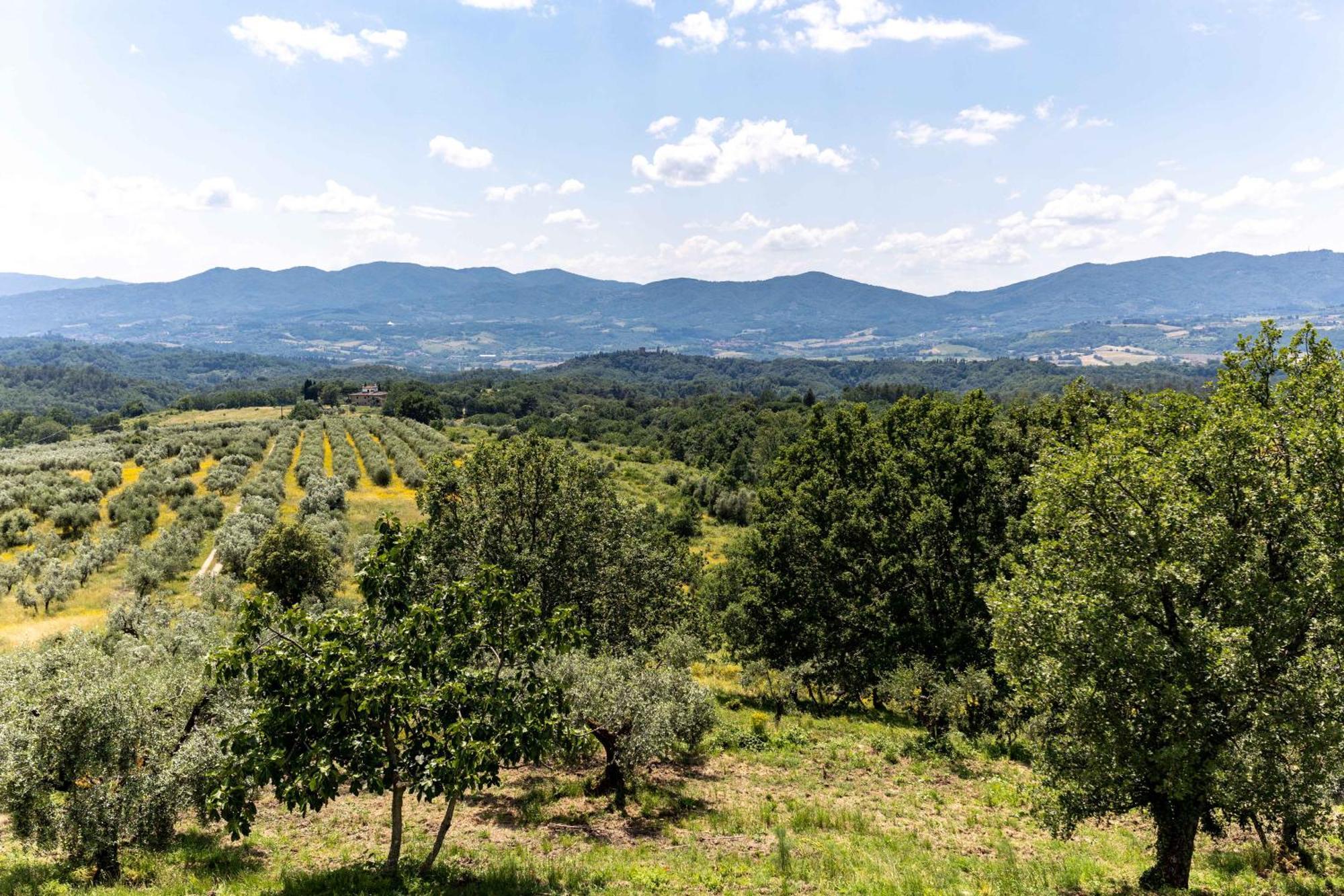 Bauernhof Fattoria Montalbano *