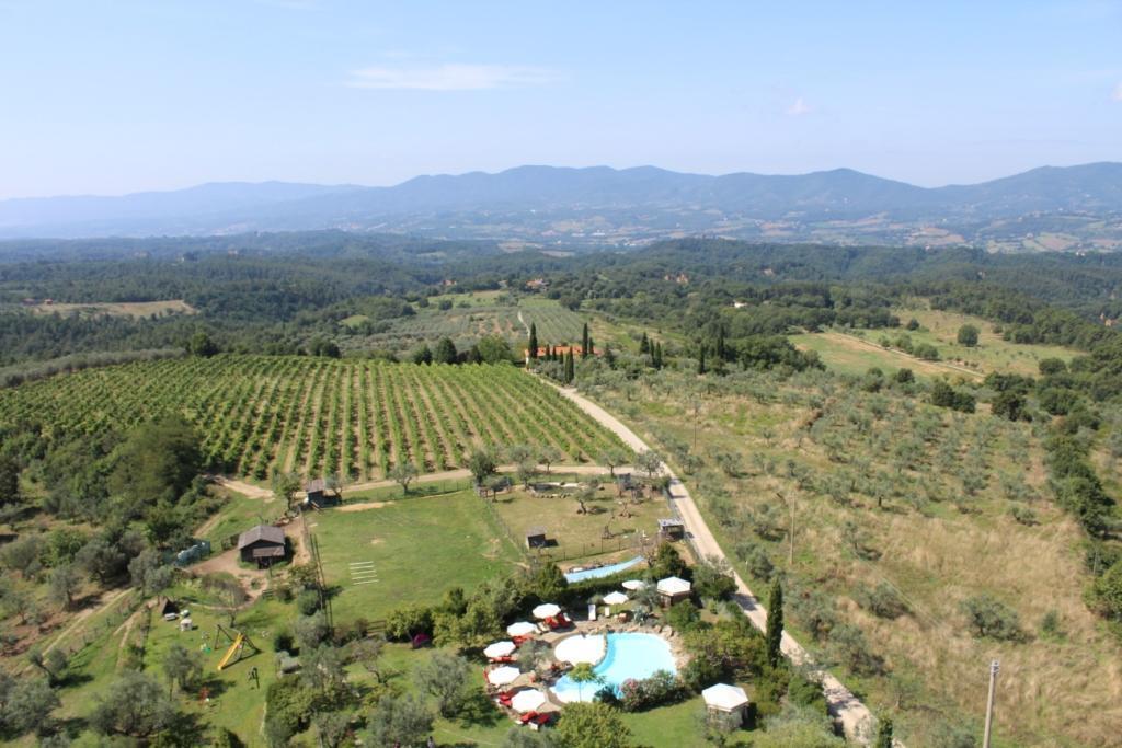 Fattoria Montalbano Bauernhof